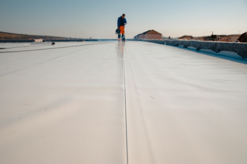 Flat Roof Waterproofing detail